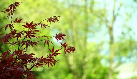 太阳城官网(中国)集团有限公司