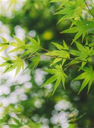 太阳城官网(中国)集团有限公司