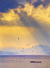 太阳城官网(中国)集团有限公司