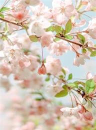 太阳城官网(中国)集团有限公司