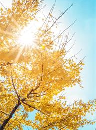 太阳城官网(中国)集团有限公司