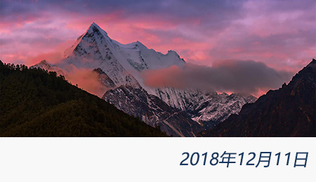 太阳城官网(中国)集团有限公司