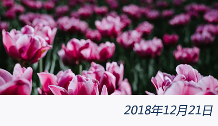 太阳城官网(中国)集团有限公司