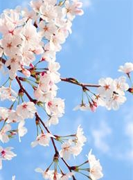 太阳城官网(中国)集团有限公司