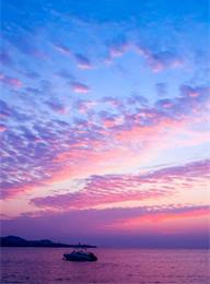 太阳城官网(中国)集团有限公司