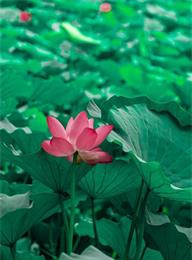 太阳城官网(中国)集团有限公司