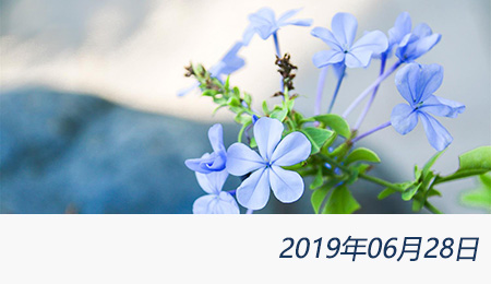 太阳城官网(中国)集团有限公司