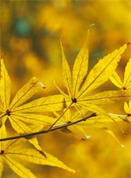 太阳城官网(中国)集团有限公司