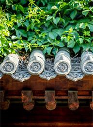 太阳城官网(中国)集团有限公司
