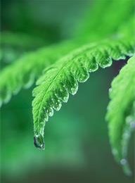 太阳城官网(中国)集团有限公司