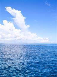 太阳城官网(中国)集团有限公司