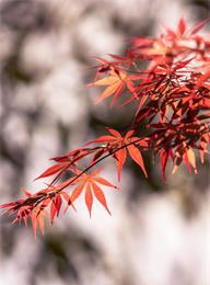 太阳城官网(中国)集团有限公司