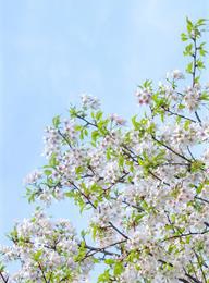 太阳城官网(中国)集团有限公司
