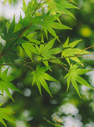 太阳城官网(中国)集团有限公司