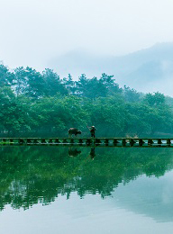 太阳城官网(中国)集团有限公司